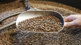 На складах ЕС могут уничтожить крупные партии кофе и какао – FT
